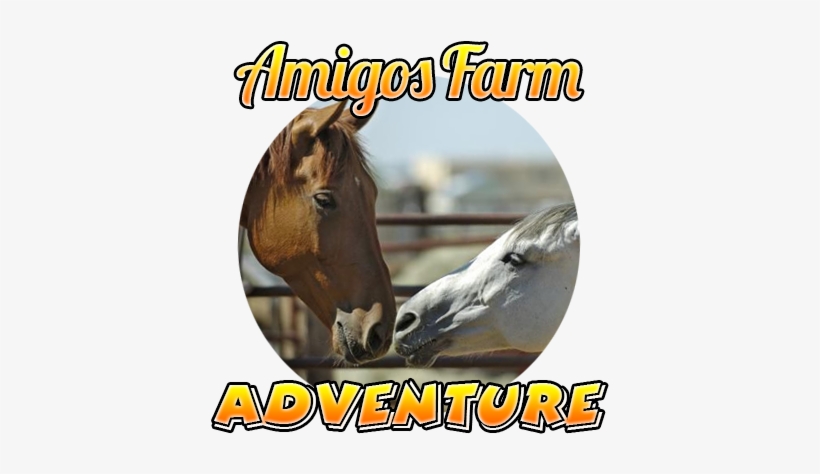 Amigos Farm Adventure Tour By Amigos Cabo - Cabo San Lucas, transparent png download