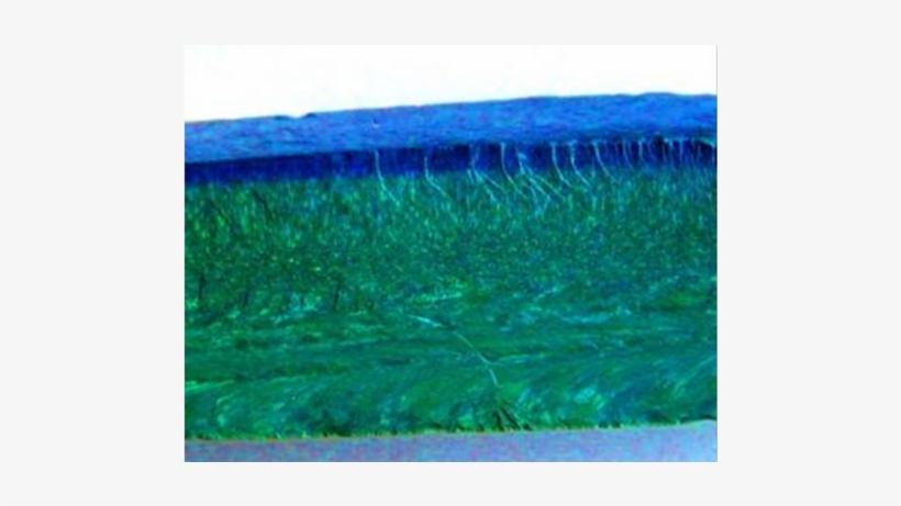 Photograph Of Opal Matrix Cleavage With 1 Mm Thick - Film, transparent png download