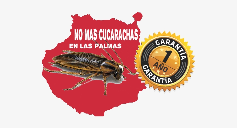 Cucarachas Las Palmas - Dimplex Castillo Electric Fire - Silver, transparent png download