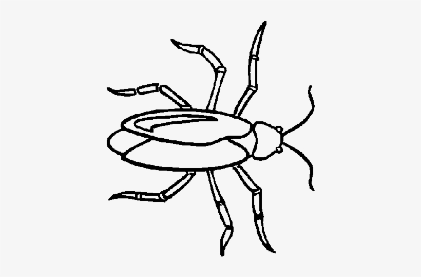 Imagenes De Una Cucaracha Para Colorear, transparent png download