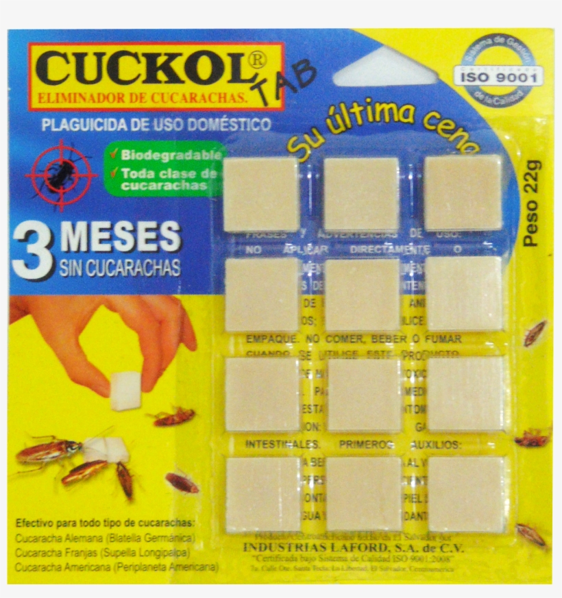 Pastilla - Cuckold Para Cucarachas, transparent png download