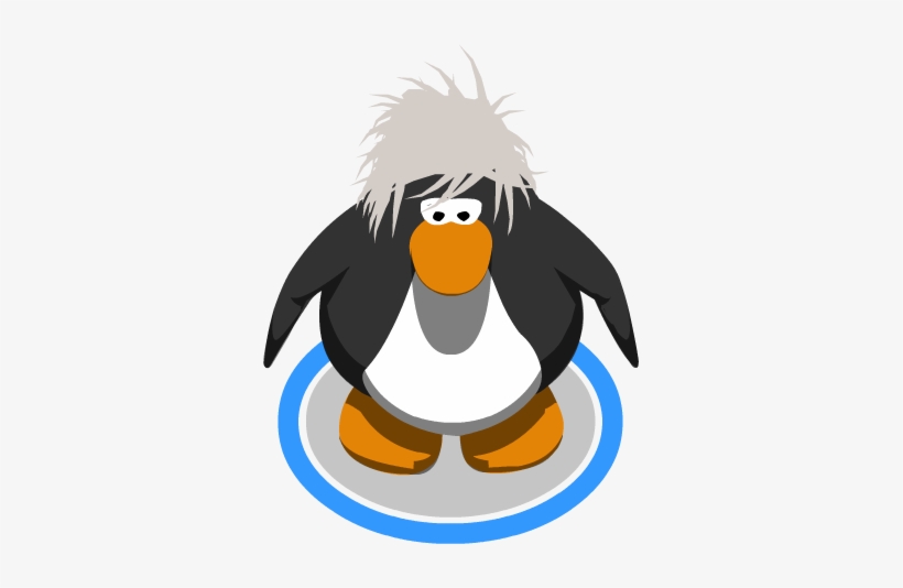 The Snow Drift In-game - Club Penguin Sombrero Png, transparent png download
