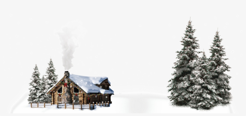 Doors On Another Year, Your Opportunity To Enjoy Some - Overstock.com Pine Trees Isolated On White Peel And, transparent png download