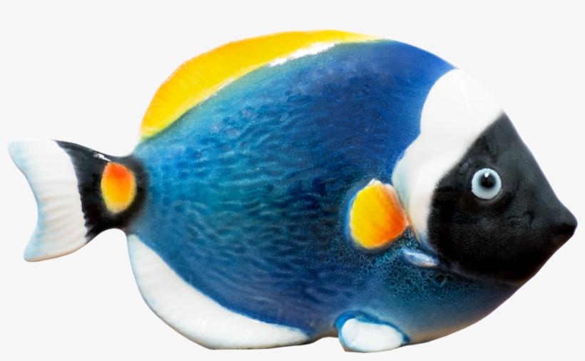 Llamativa Figura De Cerámica Italiana, Elaborada De - Coral Reef Fish, transparent png download