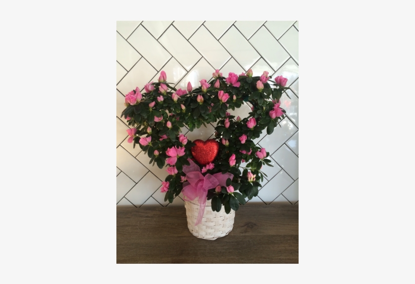 More Views - Luepke Flowers And Finds, transparent png download