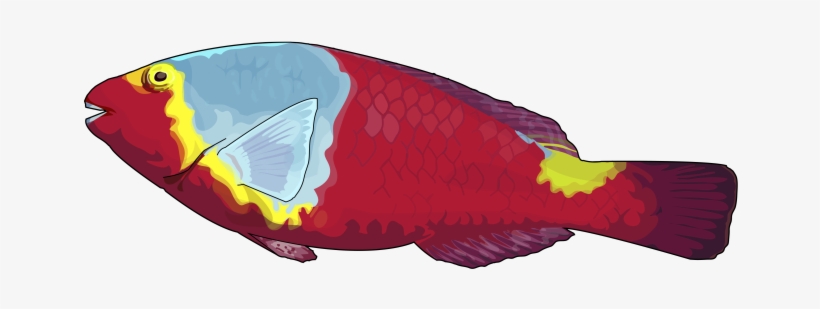 Vieja - Vieja Png, transparent png download