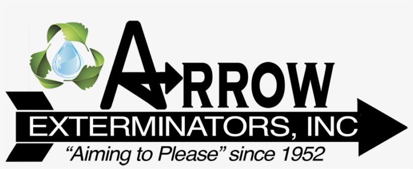 Arrow Exterminators - Graphic Design, transparent png download