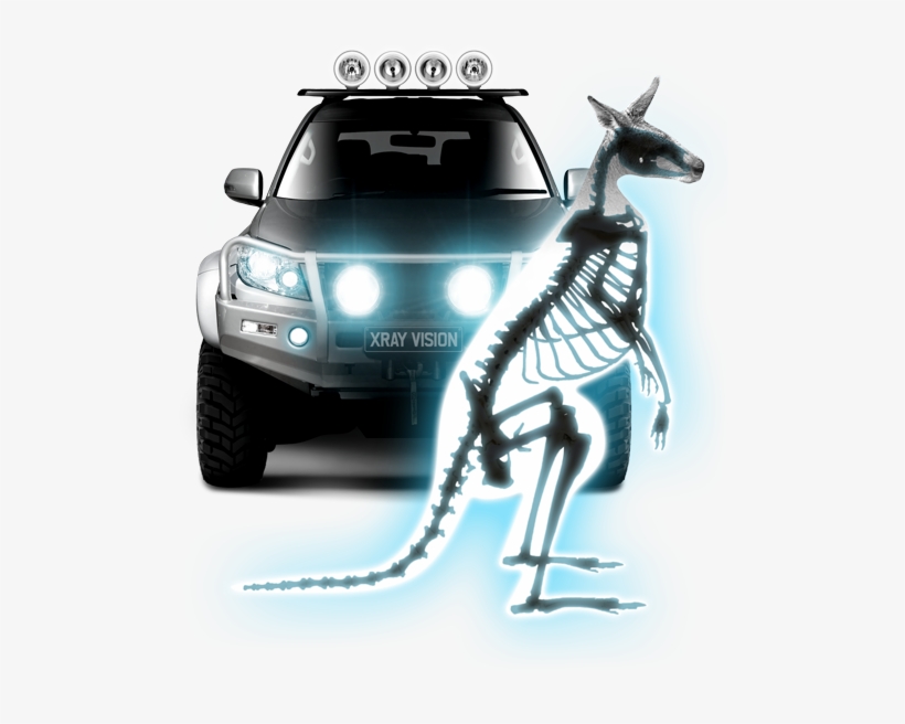 Phone - X Ray Lights, transparent png download