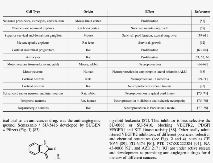 Neuronal Effects Of Vegf In The Nervous System - Fosq 10, transparent png download