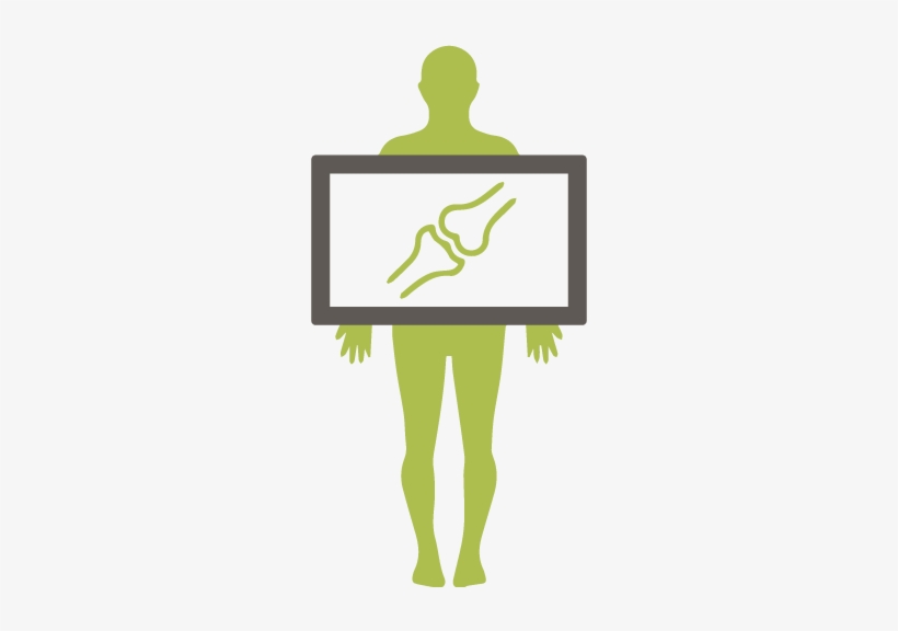 X-ray - Illustration, transparent png download