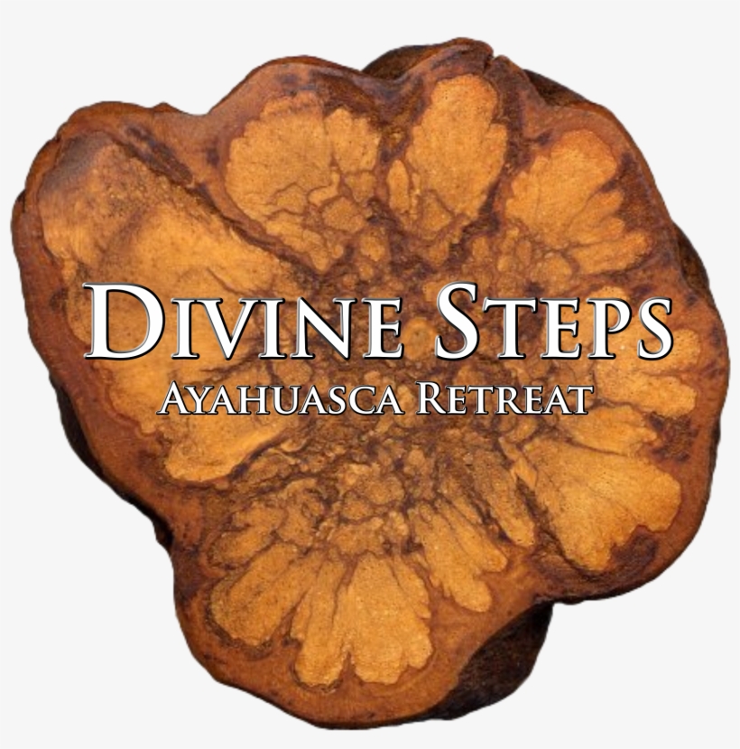 Ayahuasca, transparent png download