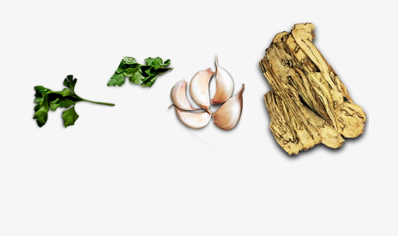Ramen, transparent png download