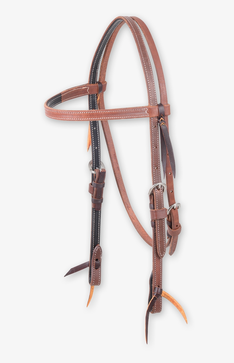 Halter, transparent png download