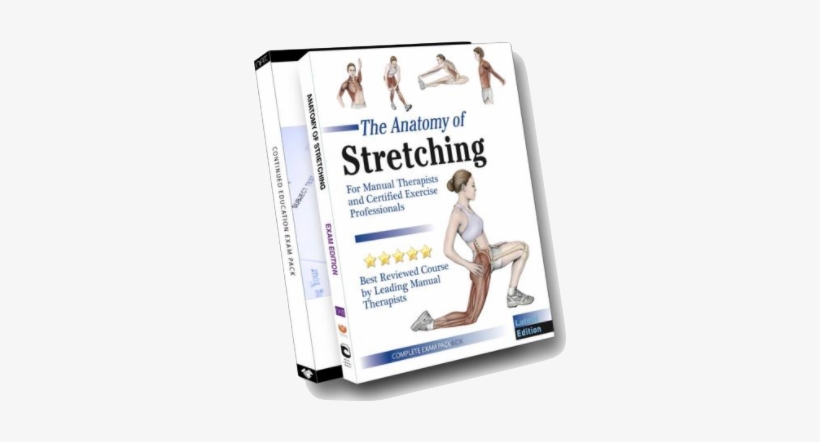 Nat Master Course - Anatomy Of Stretching, transparent png download