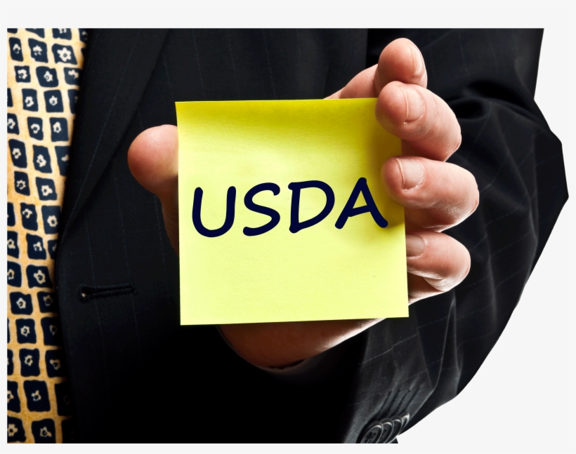Qualifying For A Usda Loan In California With Debt - پشتیبانی نرم افزار, transparent png download