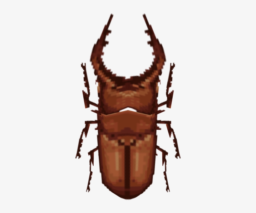 Download Zip Archive - Rhinoceros Beetle, transparent png download
