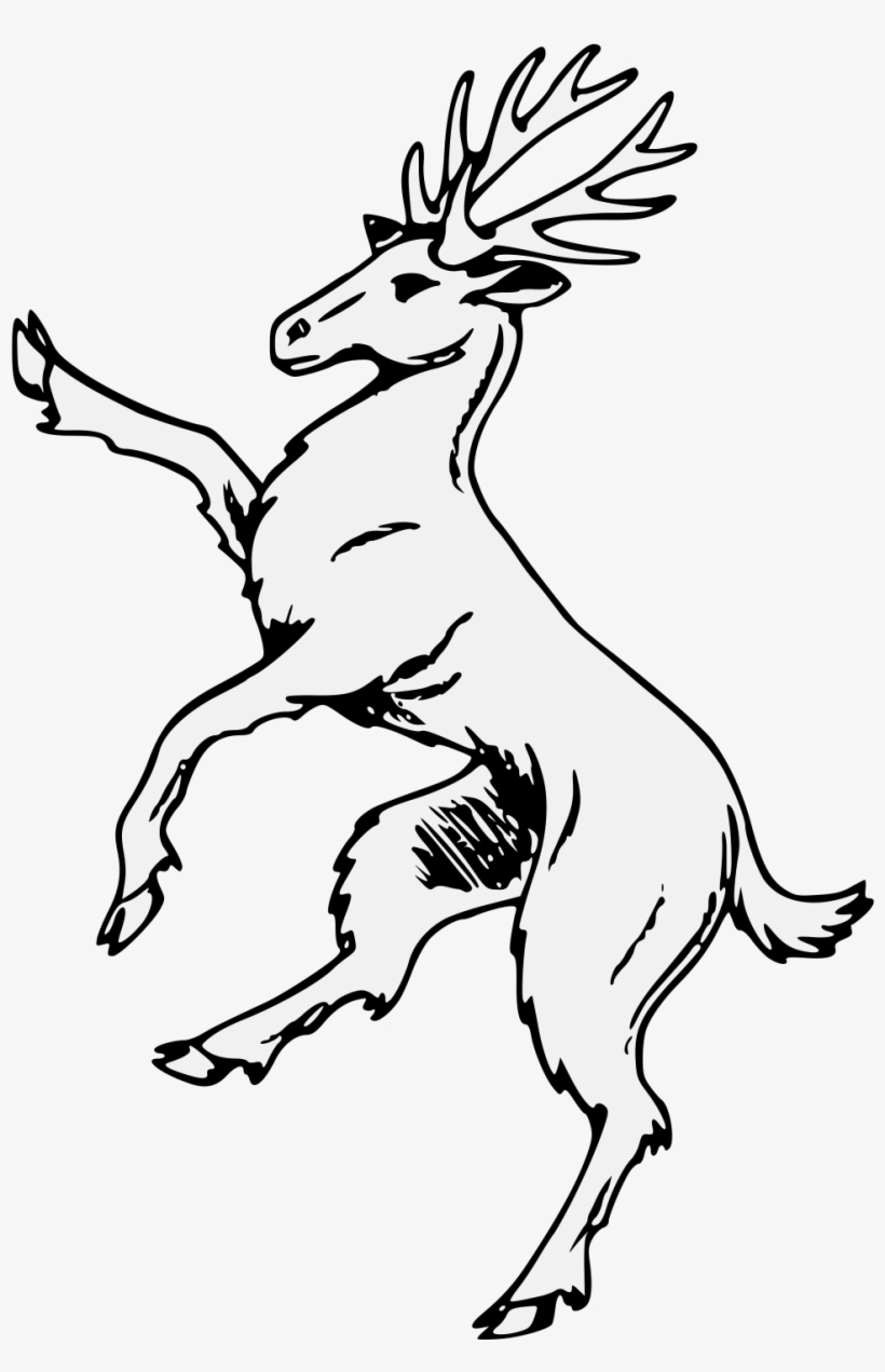 Stag - Illustration, transparent png download