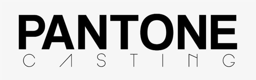 More - - Pantone 19 4007 Tcx, transparent png download