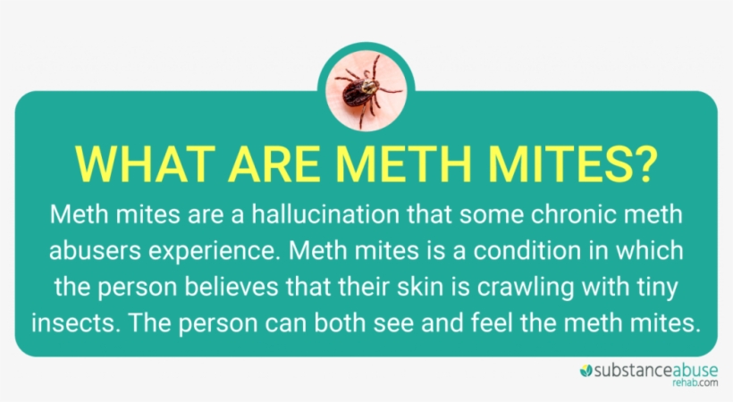 Meth Mites And Meth Sores- The Dangers Of Meth Abuse - Methamphetamine, transparent png download