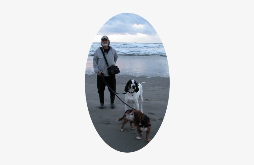 Doug - Cottage, transparent png download