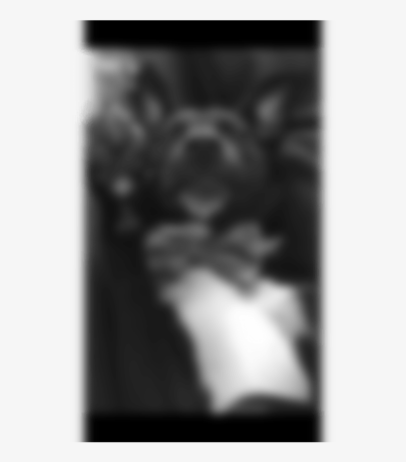 Monochrome, transparent png download