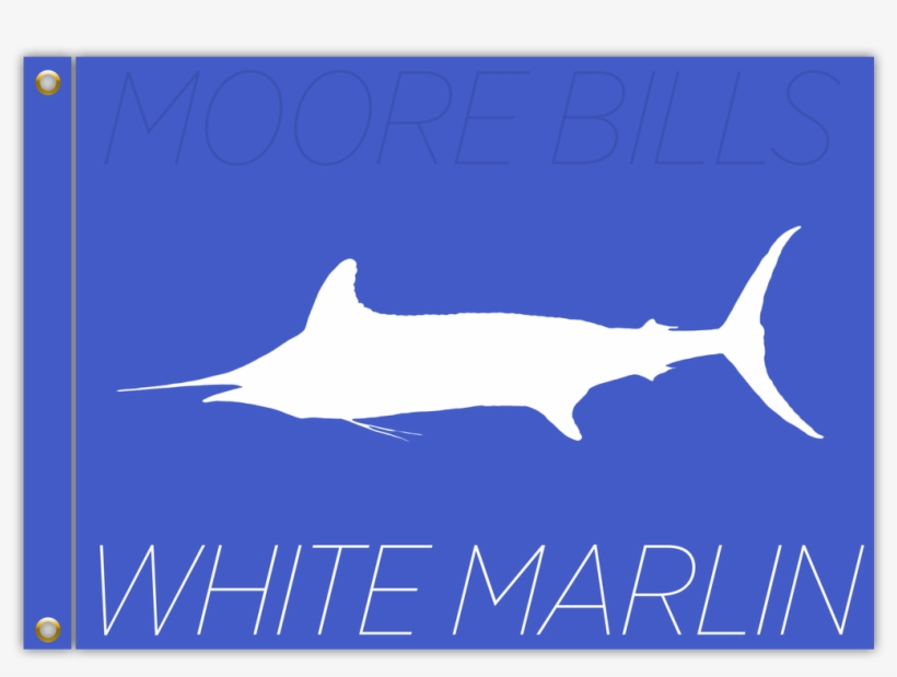 0 Comments - Shark, transparent png download