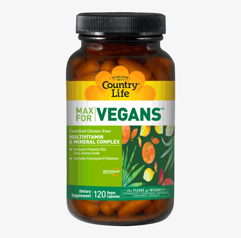 You Are Here - Country Life Max For Vegans - Multivitamin & Mineral, transparent png download