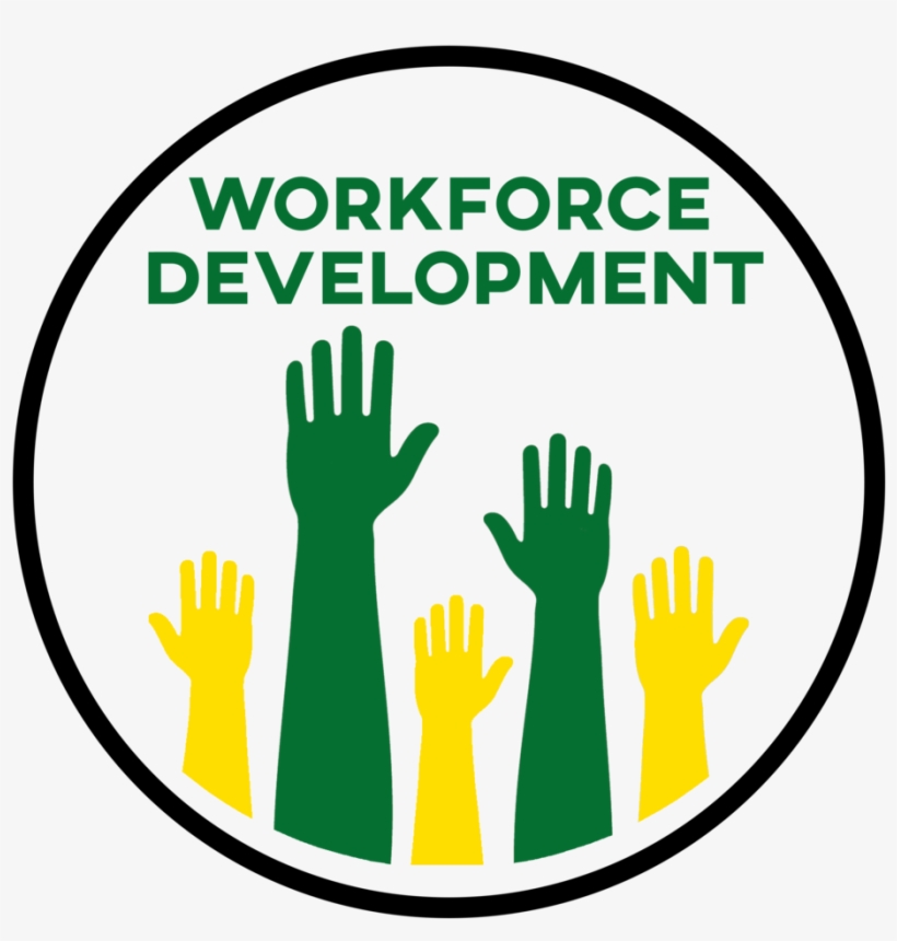 Workforce Development Icon - Icon Transparent PNG - 1000x1000 - Free ...