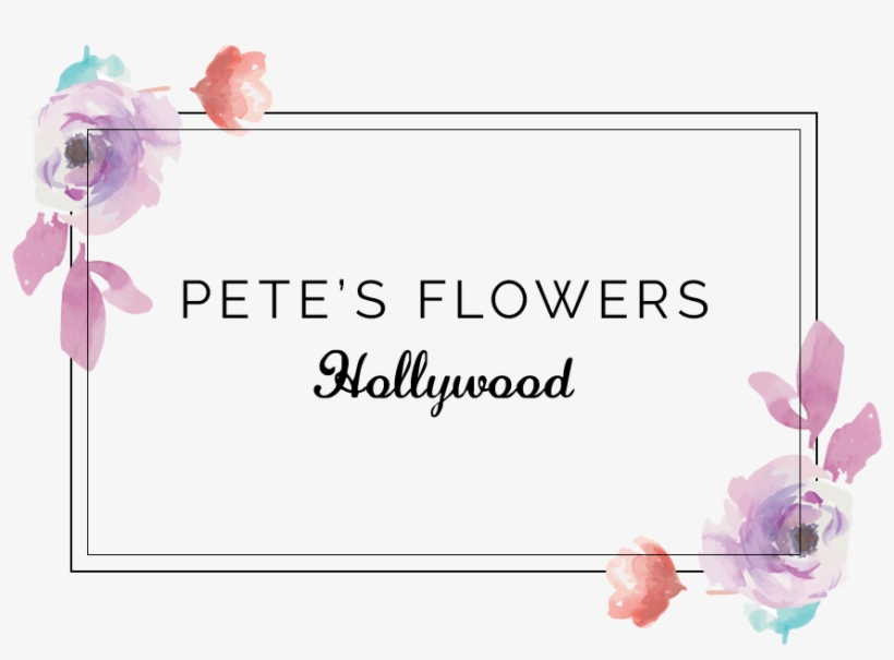 Hollywood, Ca Florist - Pete's Flowers, transparent png download