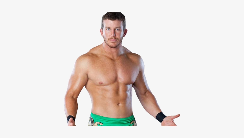 Ted Dibiase Png&rsquo;s - Ted Dibiase Jr Shirtless Transparent PNG - 392x385