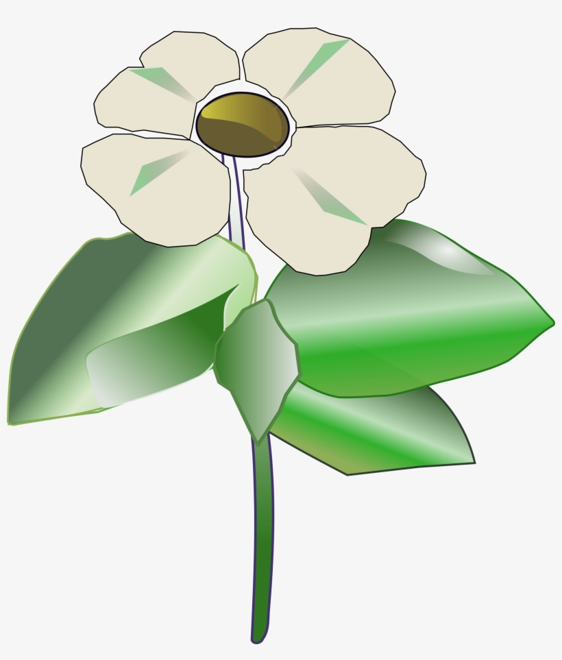 This Free Icons Png Design Of Pacific Dogwood, transparent png download