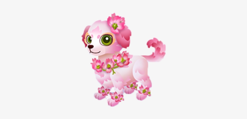 Dogwood Juvenile - Wiki, transparent png download