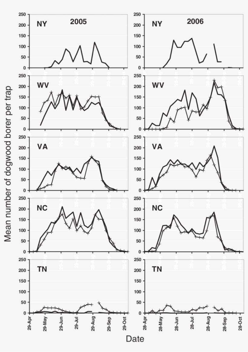 Weekly Captures Of Male Dogwood Borer In Pheromone-baited - Diagram, transparent png download