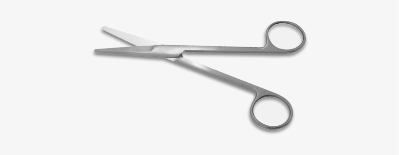 Mayo Scissors Png, transparent png download