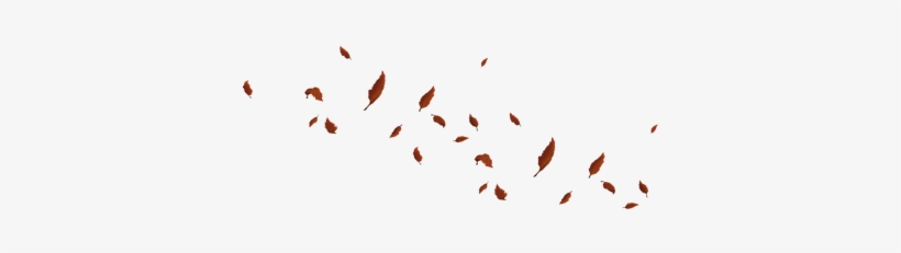 Final Projects - Flock, transparent png download