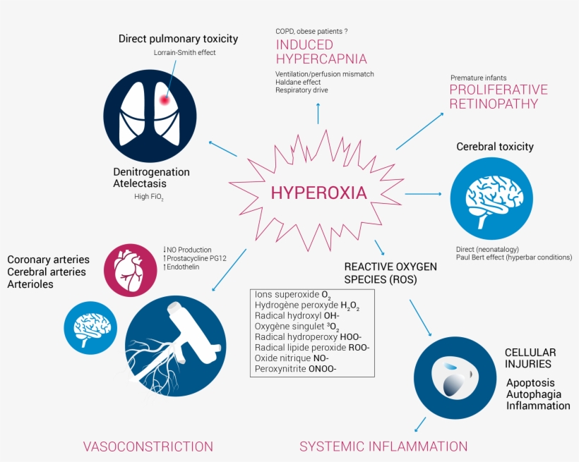 5 Farquhar H, Weatherall M, Wijesinghe M, Et Al - Hyperoxia, transparent png download