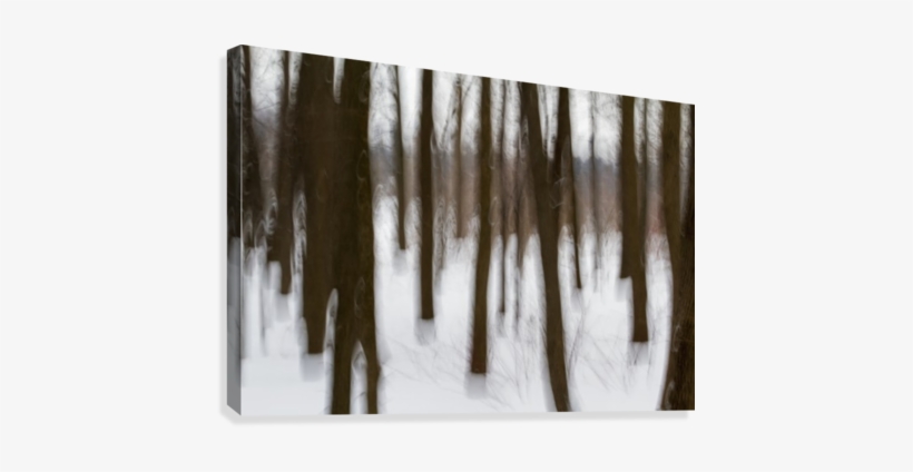Motion Blur Of Trees - Icicle, transparent png download