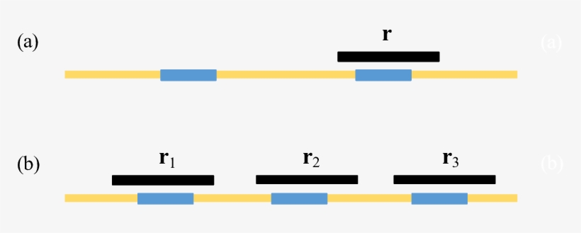 Illustration Of A Bridged Repeat In S - Vektorrechnung, transparent png download
