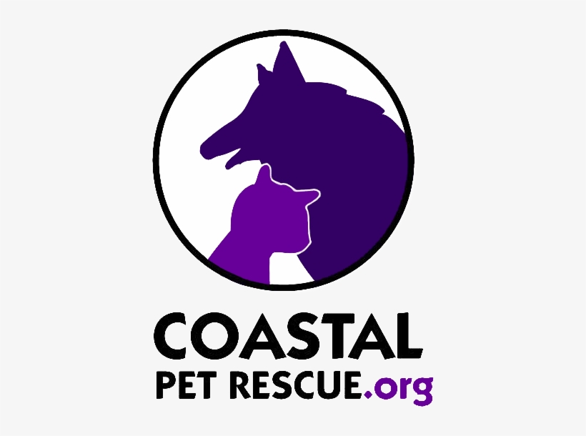 Cpr Logo Color - Asthma Society Of Ireland, transparent png download