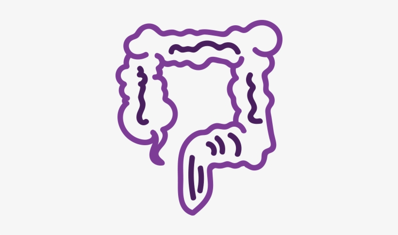 Body-colon - Large Intestine, transparent png download