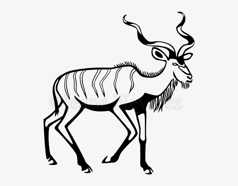 Clipart Resolution 520*562 - Kudu, transparent png download