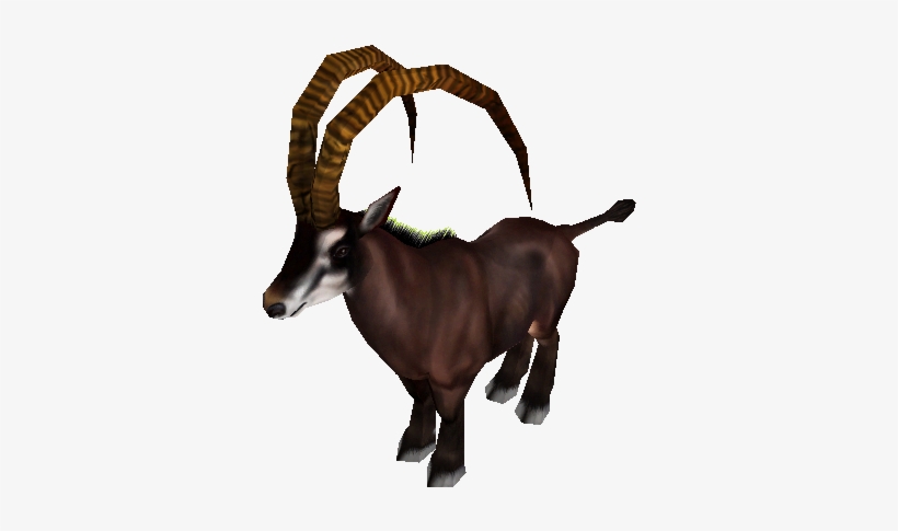 Download Zip Archive - Zoo Tycoon 2, transparent png download