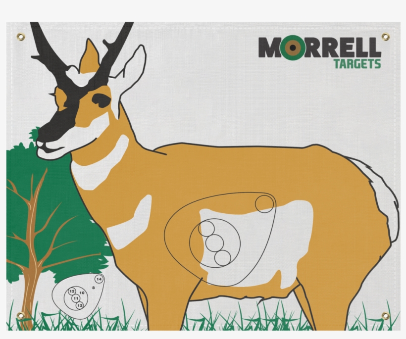 Antelope Polypropylene Archery Target Face - Morrell Targets Polypropylene Archery Target Face,, transparent png download