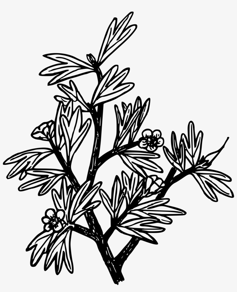 This Free Icons Png Design Of Antelope Bitterbush, transparent png download