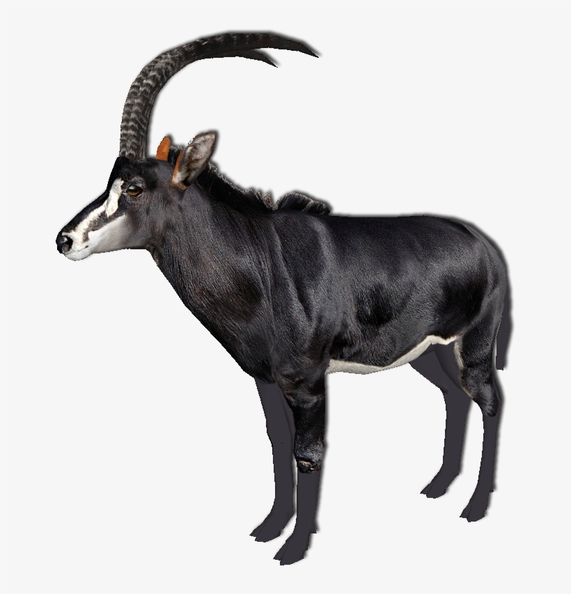 Giant Sable Antelope - Zoo Tycoon, transparent png download