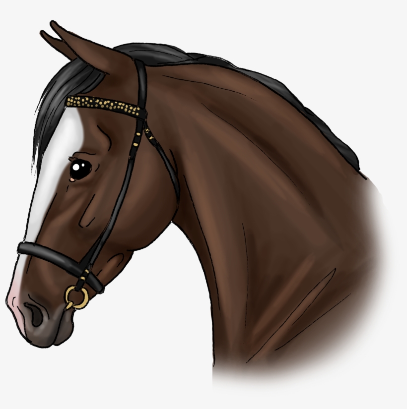 Molly - Stallion, transparent png download