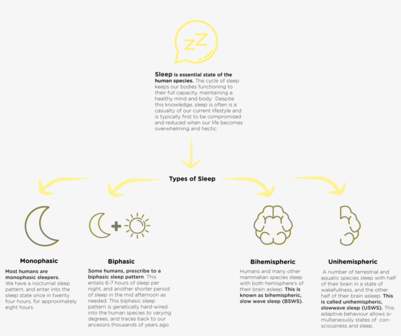Chrgrinfowithvectorreadd - Portable Network Graphics, transparent png download
