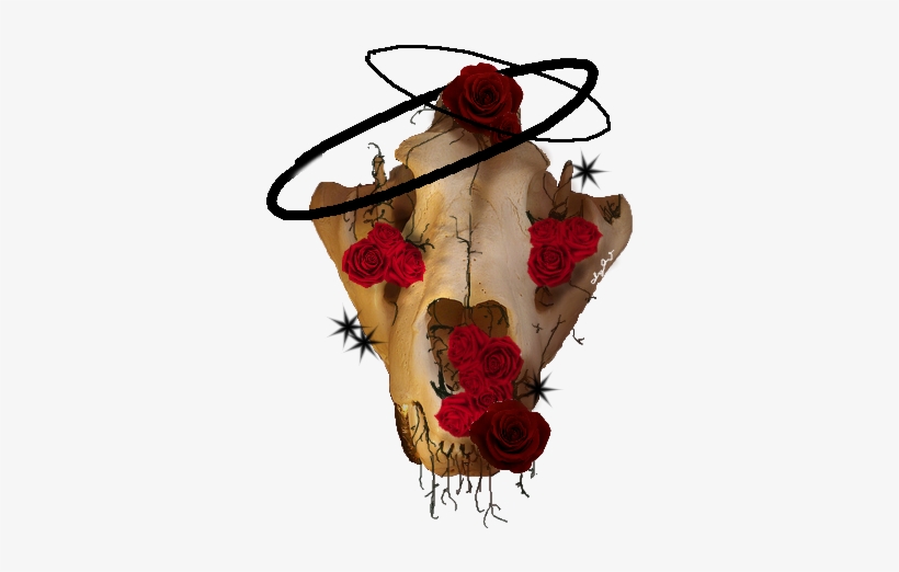 Audacity - Garden Roses, transparent png download