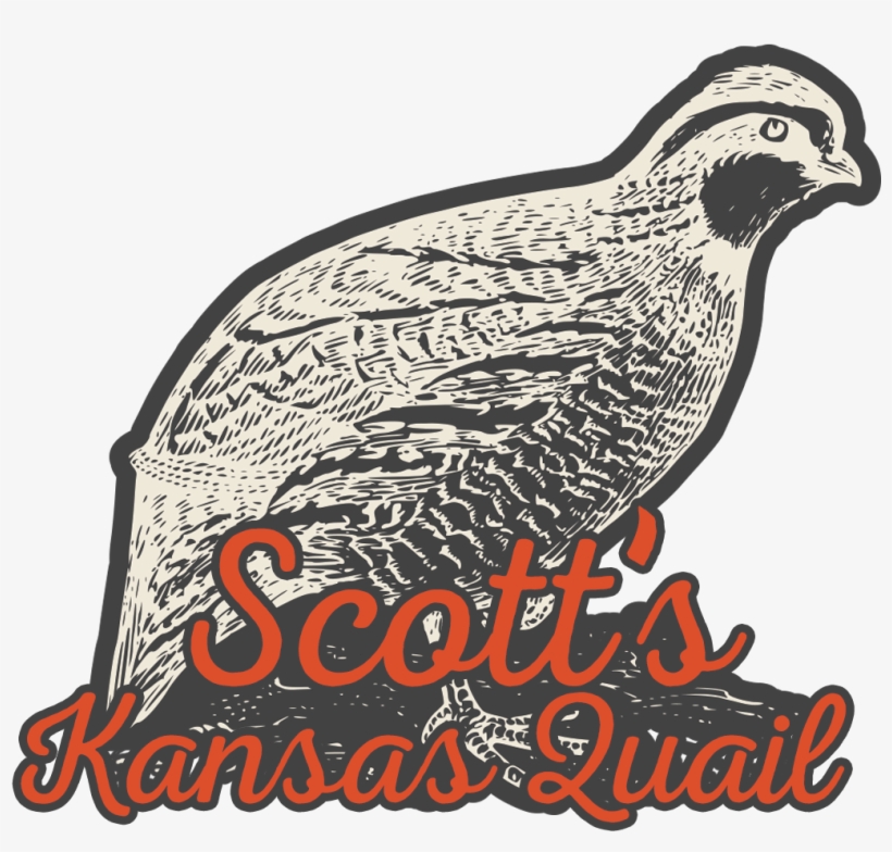 Scott's Kansas Quail, Local Quail And Quail Eggs Farmer - Kansas, transparent png download