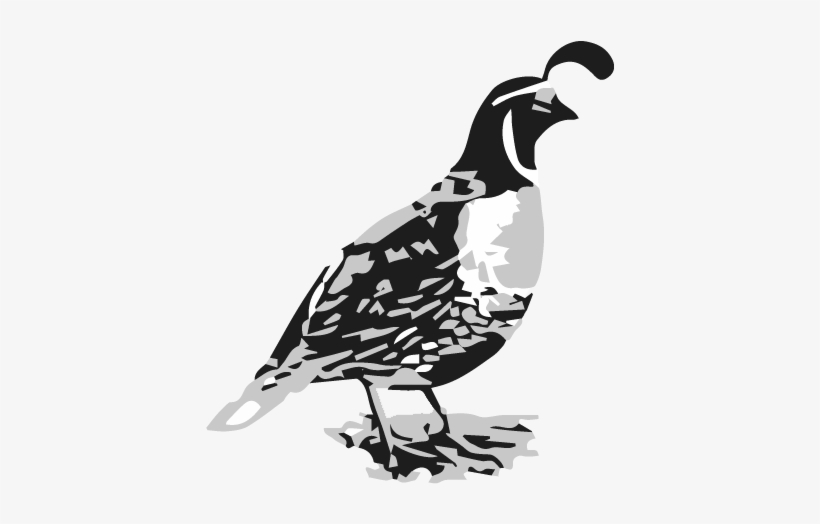 Cropped-quail - Interior Design, transparent png download